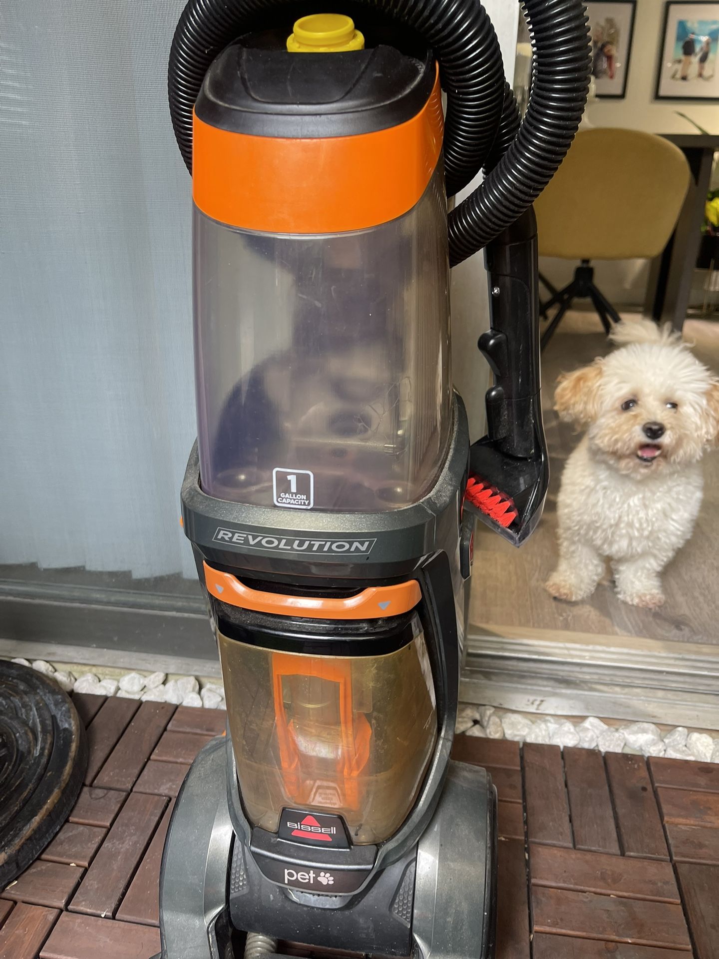 Bissell Carpet Cleaner Pro