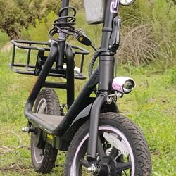 Electric Scooter