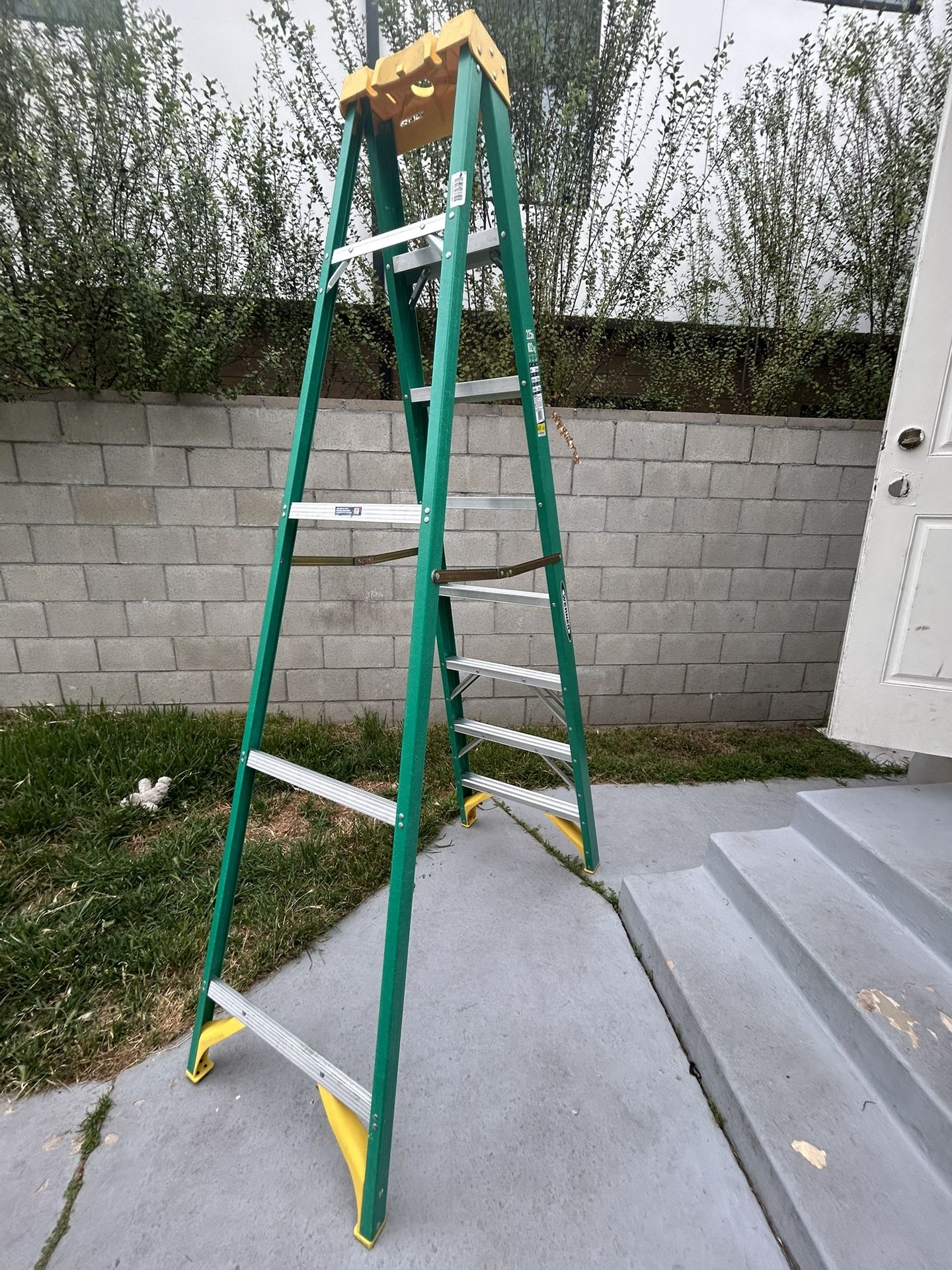 8 Ft. Ladder