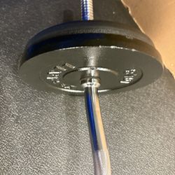 Standard Steel Curl Bar with Cast Iron Weight Plates pairs: 15#, 10 & 5 #. Total: 76 pounds
