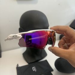 oakley sunglasses 