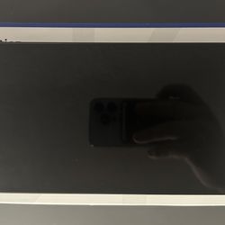 PlayStation Portal