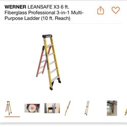 Werner Ladder