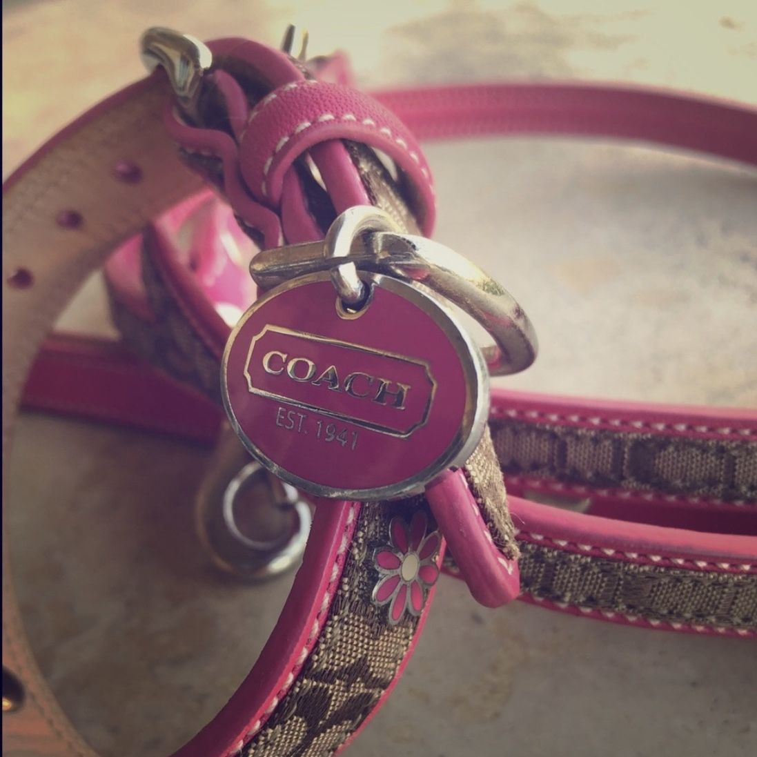 Super Rare!! Coach Signature Collar/Leash Set for Sale in Murrieta