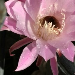 Free Couch And Loveseat 