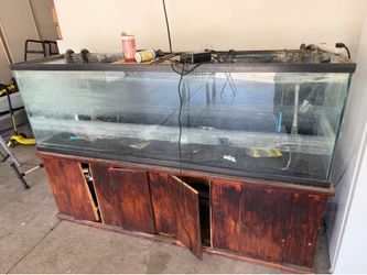 125 gallon aquarium