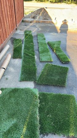 Bluegrass supreme. Turf strips