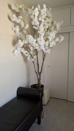 Planta floral