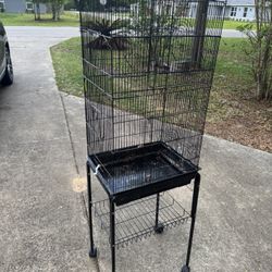 Bird Cage