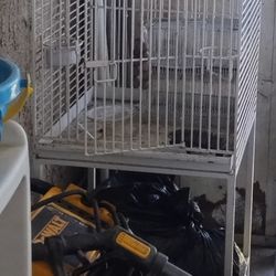 BIRD CAGE PERFECT CONDITION 