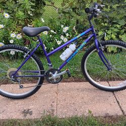 Iron Horse Bike Like New