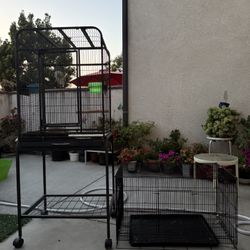 Bird Cages 