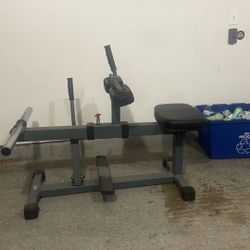 X Mark Plate Loaded Calf Raise Machine
