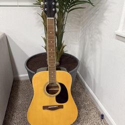 Acoustic Guitar 