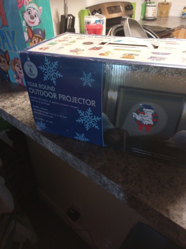 year round outdoor projector
