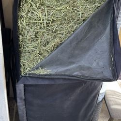 Fresh Timothy Hay available for small animals