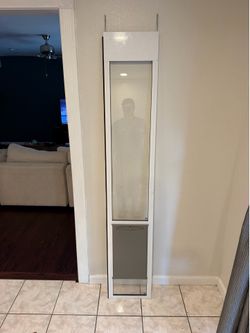 Pet Safe Dog Door