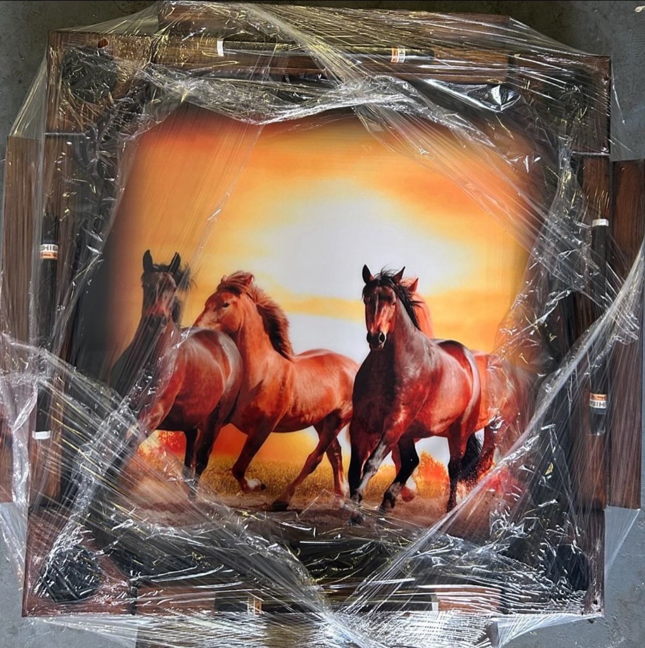 Horses Caballos