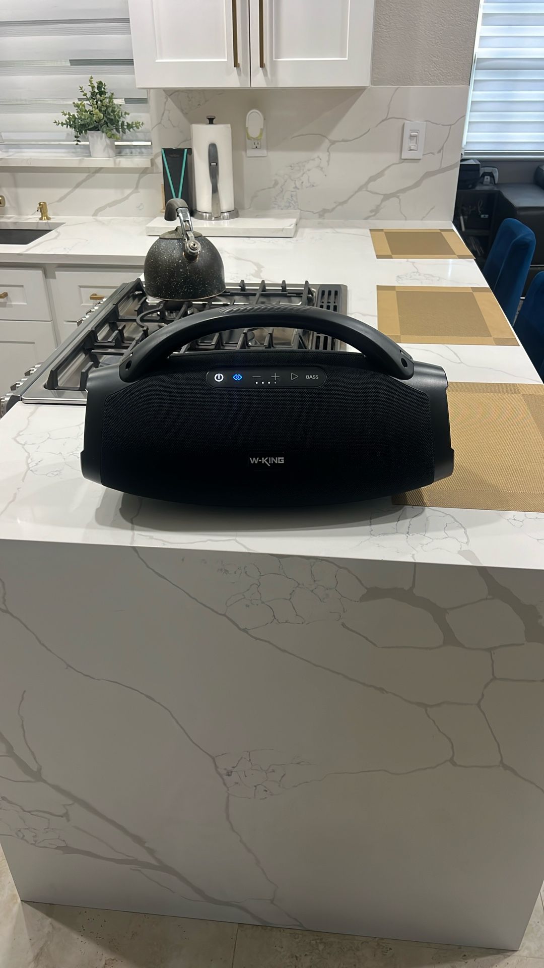 Wking 250 Watt Bluetooth Speaker 