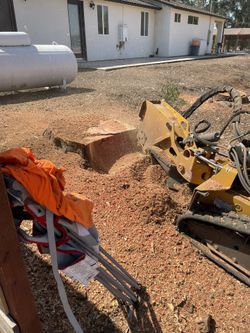 Stump Grinding