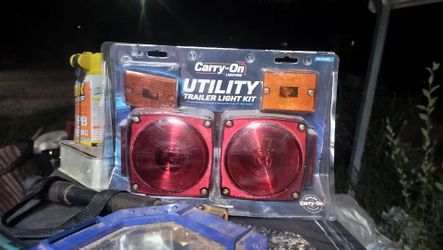 I will take 30 as is you just need the wires and all the lights are there the plug is there just some of the wire was missing when I got them they've