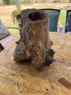 Reptile Hide