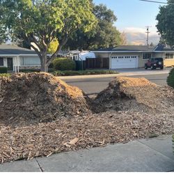FREE FRESH WOOD CHIPS FOR YOUR YARD  