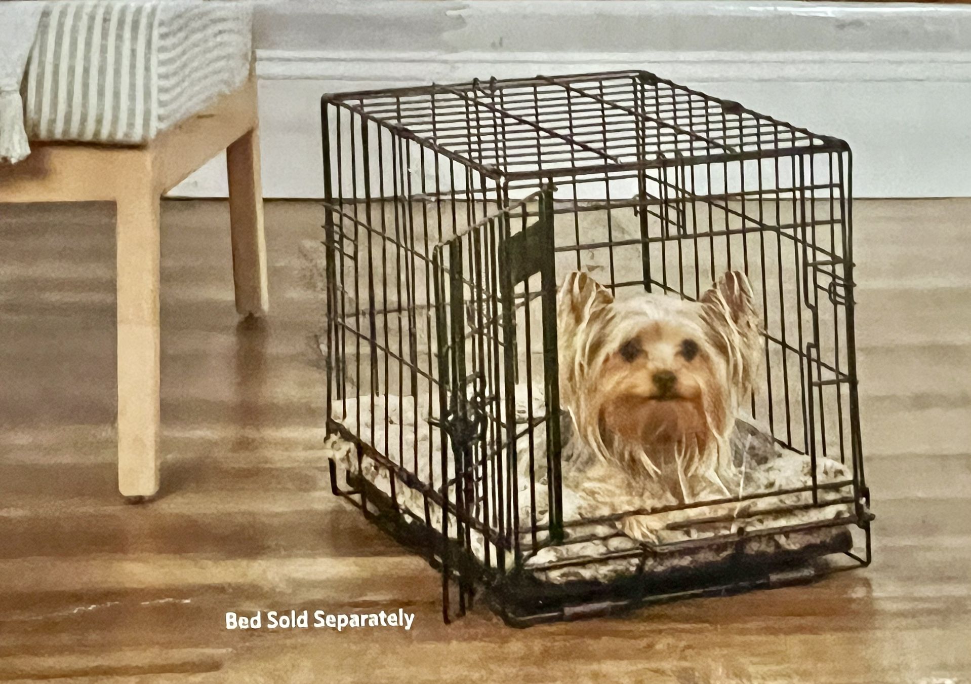 1-Door Folding Crate for Pets