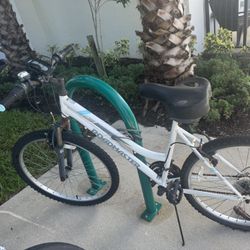 Bicycle Roadmaster