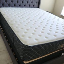 New queen mattress and box spring. 2 pc bed frame is not included