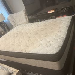 Free Free Full Size Mattress And Box Springs 