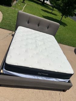 Queen Size Bed + Mattress