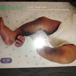 Owlet Dream Sock 