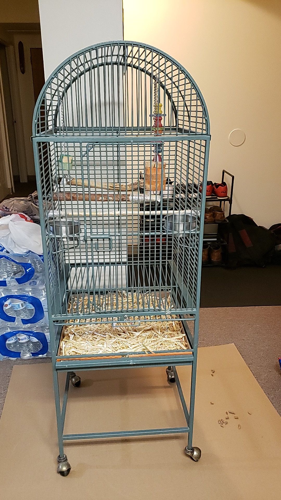 Parrot Cage for parrots and cockatiels and birds.