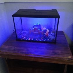 Five gallons Fish tank