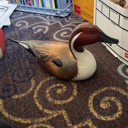 Sonja Gunkel Pintail Drake 1985