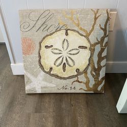 Sand Dollar Art Great Deal Best Offer