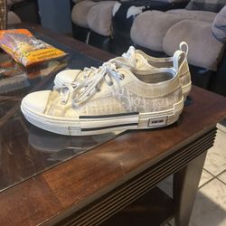 Dior B23 low top obliques 