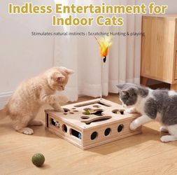 Cat Nail Care Enrichment Box
