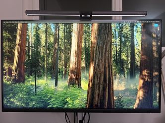 Dell 32” QHD Monitor P3221D