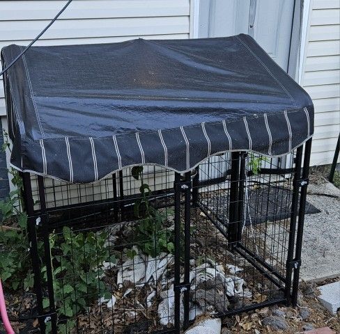 Doggie Cage w/ striped vinyl steeple