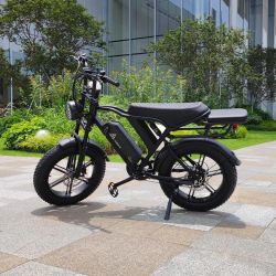 TST R002 1500W Full Suspension Moped-style eBike