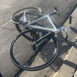 52CM Polished Aventon Cordoba