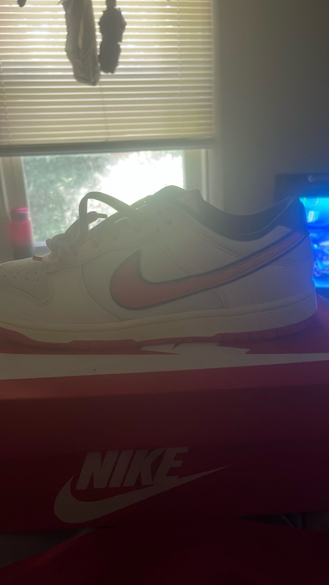 Nike Dunk Low Retro Se Looking For 130