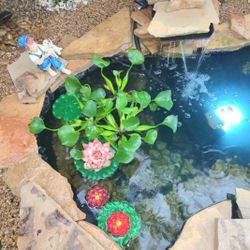 Pond Plants - Water Hyancinth