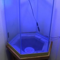 Hexagon Aquarium With Solid Wood Storage Base