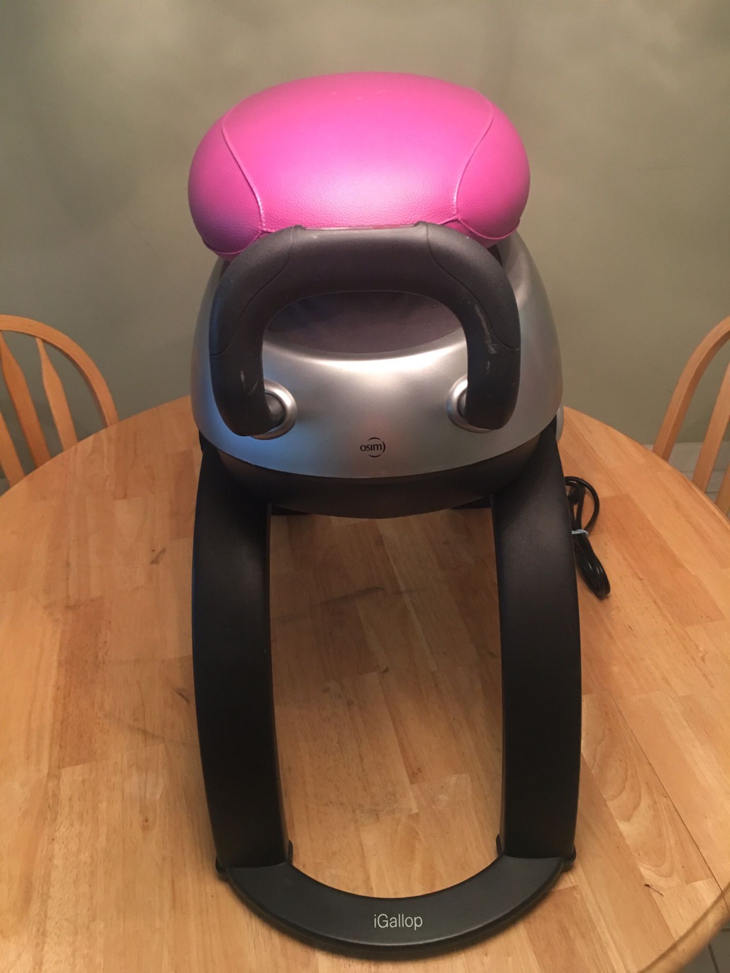 Brookstone igallop sale