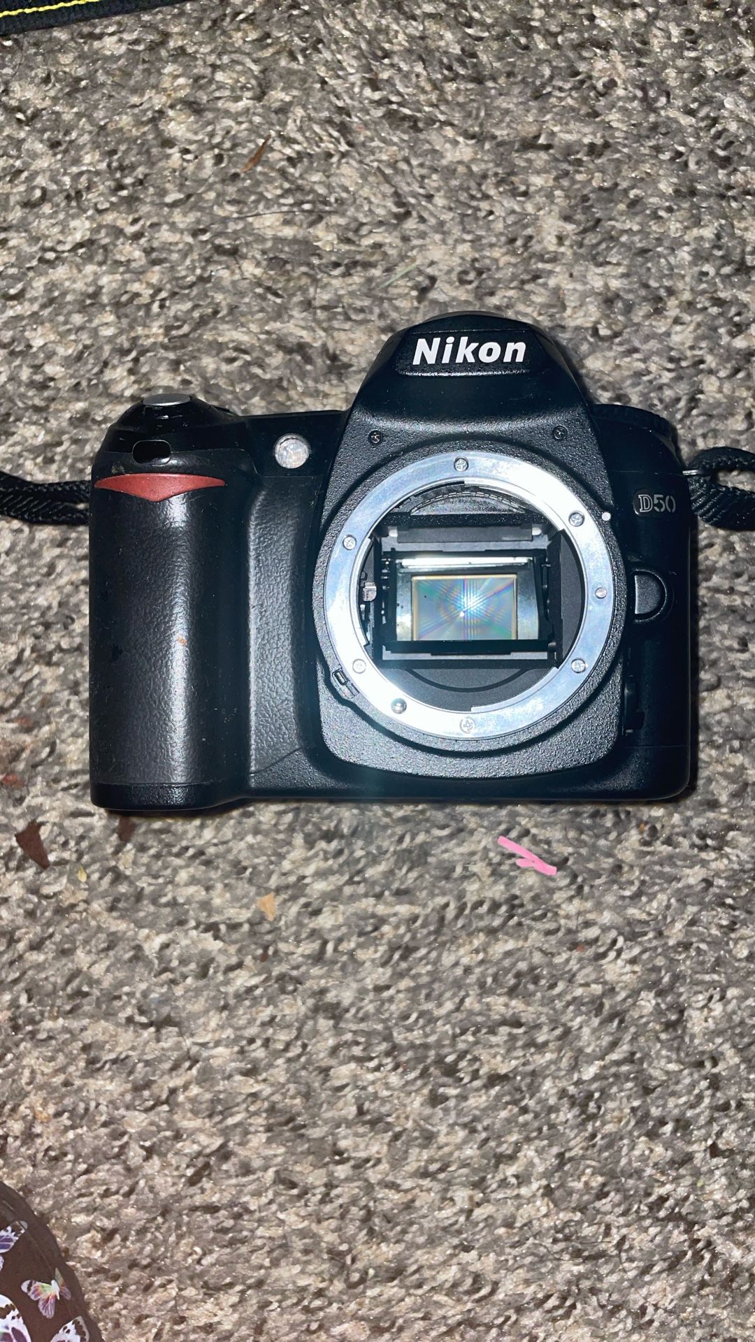 Nikon Camera 