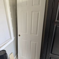28x80 Door