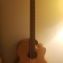 Electro Acoustic Bass